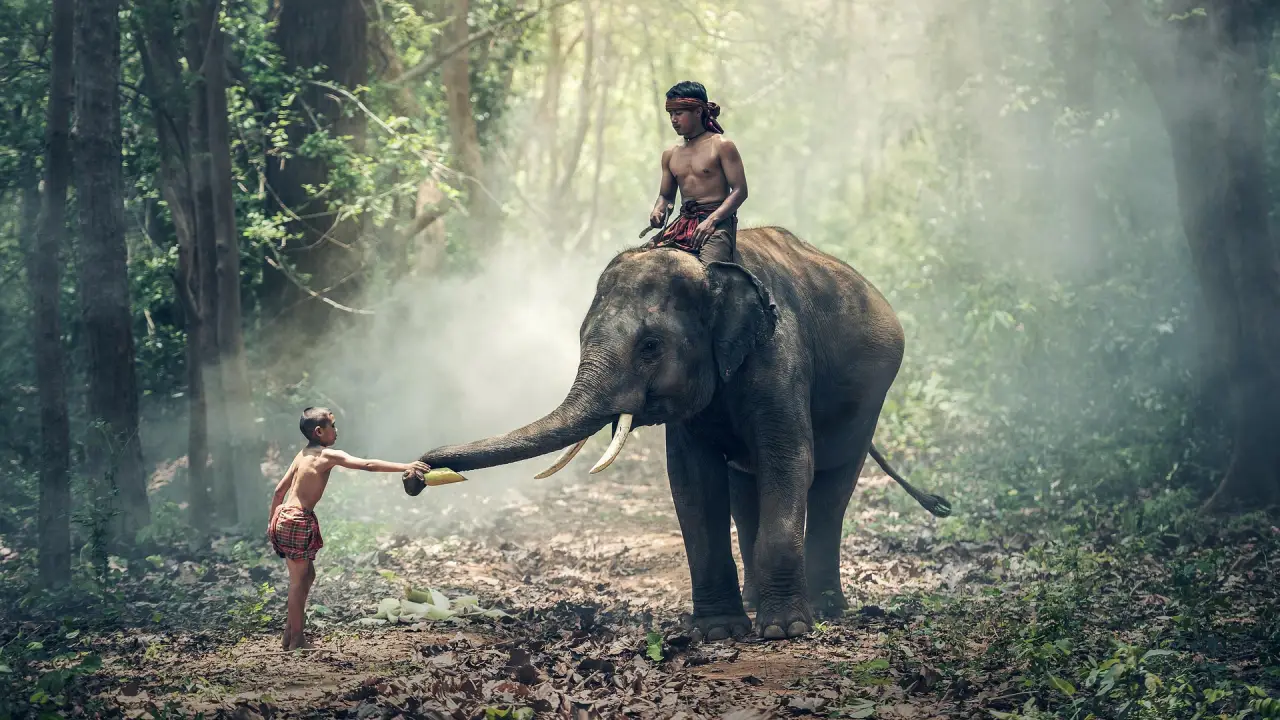 Wildlife conservation efforts protecting endangered animals in 2026